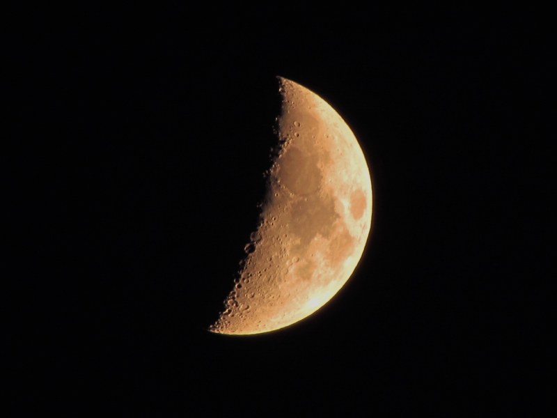 c0183777_20221376.jpg