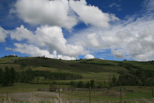 d0114280_424096.jpg