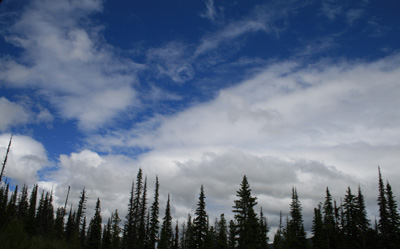 d0114280_4242162.jpg