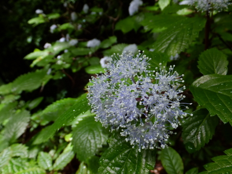 a0043982_2125085.jpg