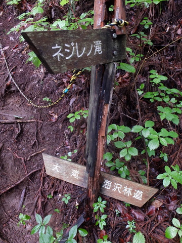 a0043982_21253190.jpg