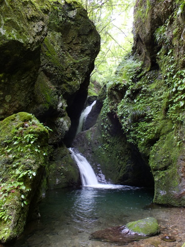 a0043982_2125812.jpg