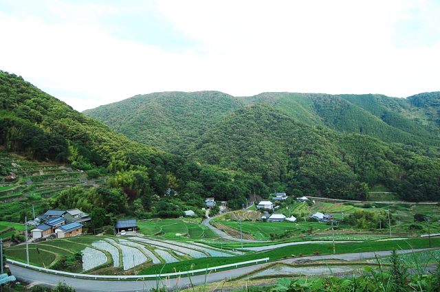 d0179983_20362188.jpg
