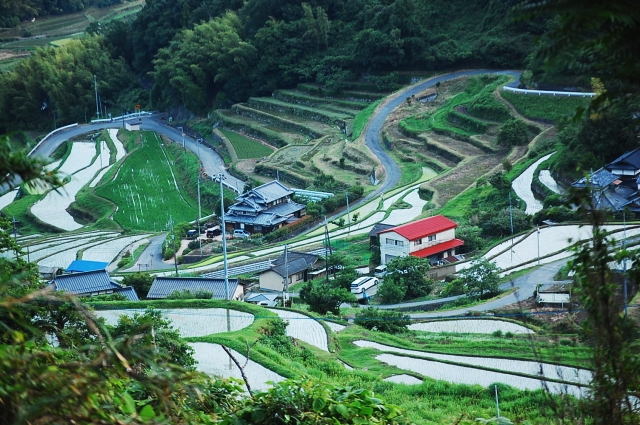 d0179983_20365211.jpg
