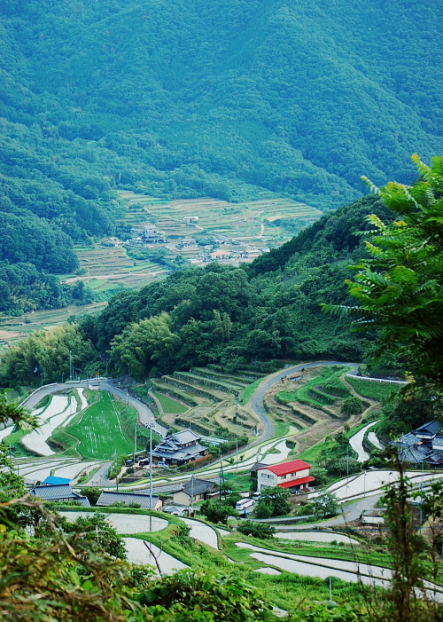 d0179983_2037119.jpg