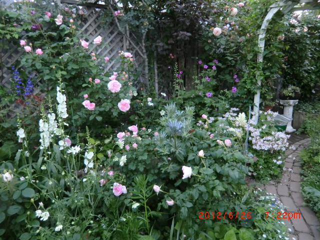 c0078586_2161880.jpg