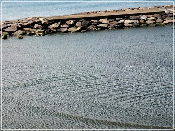 e0143690_543279.jpg