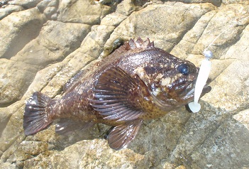 f0069890_2282517.jpg