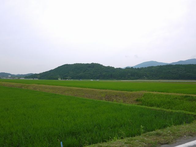 b0190092_21304522.jpg