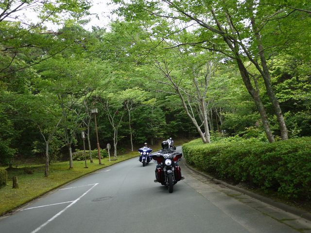 b0190092_2131056.jpg