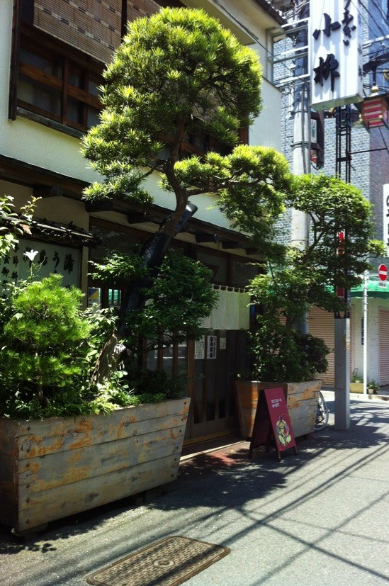 a0176294_18243079.jpg