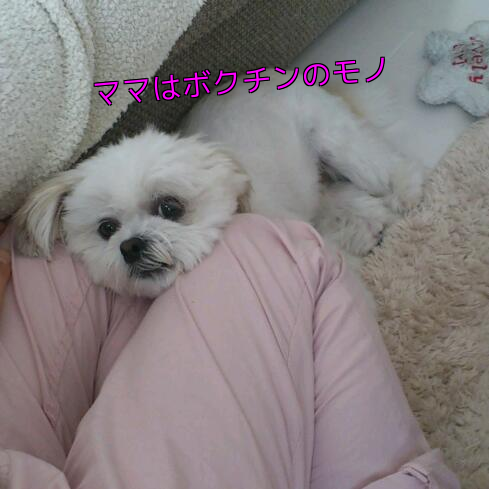 b0237894_911848.png