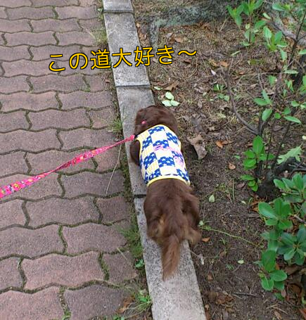 b0237894_961654.png
