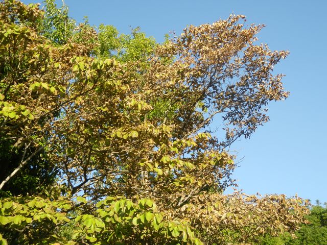 f0130894_22333754.jpg