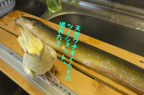 b0240299_17471039.jpg