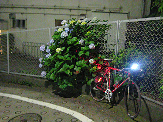 b0097200_2211512.jpg