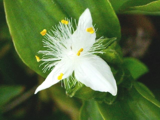 e0025300_1822427.jpg