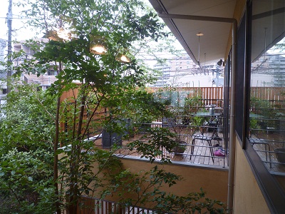 a0156611_1584529.jpg