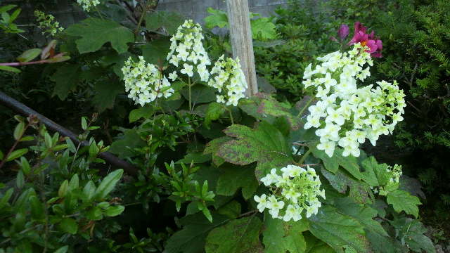 b0035611_20585198.jpg