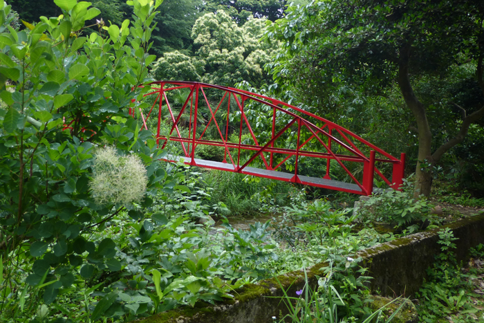 b0130112_21482996.jpg