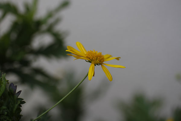 d0011713_8181462.jpg