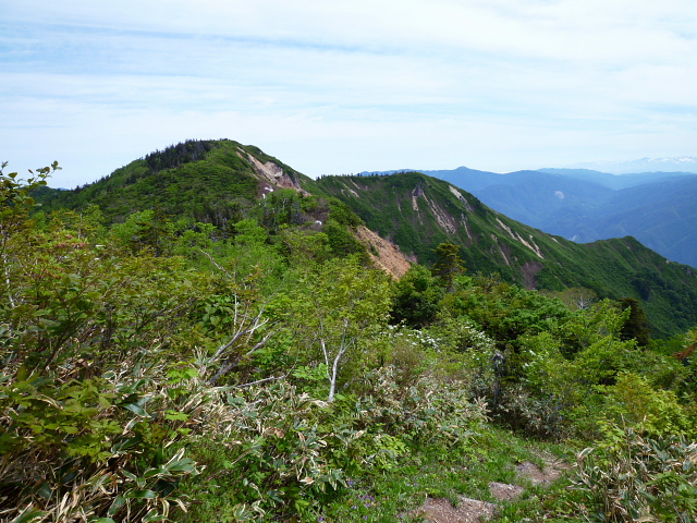 d0170615_13451816.jpg