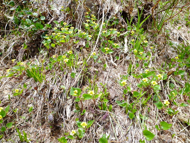 d0170615_13455852.jpg