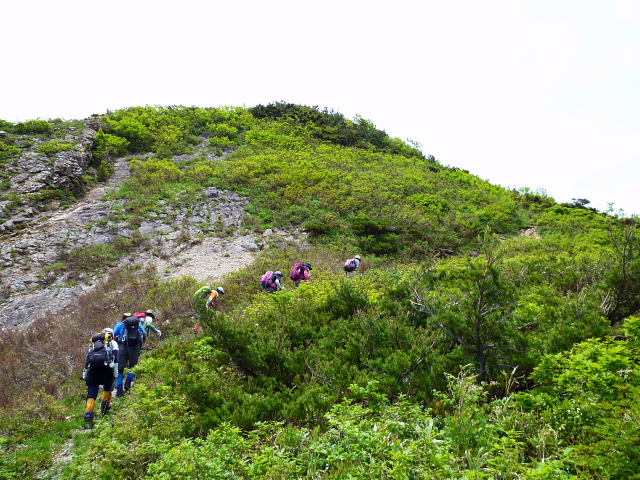 d0170615_13464638.jpg
