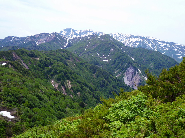 d0170615_134656100.jpg