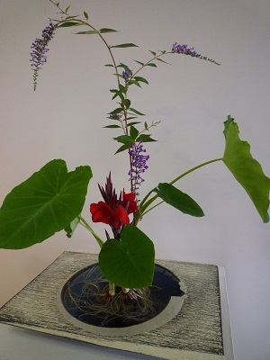 f0031420_15241524.jpg