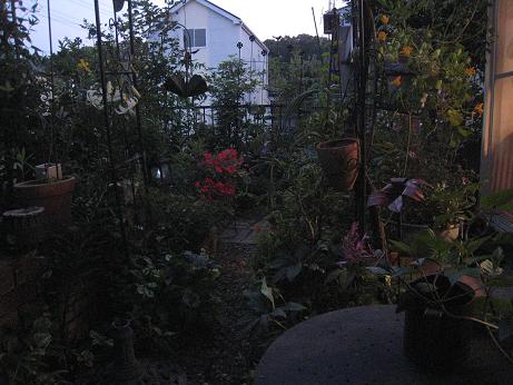 f0166824_2147941.jpg