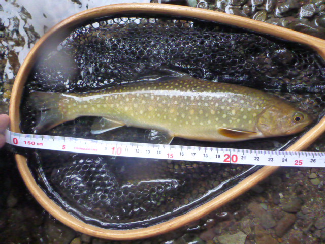 b0195927_22335481.jpg