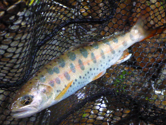 b0195927_22451288.jpg