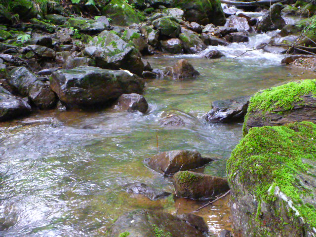 b0195927_22494622.jpg