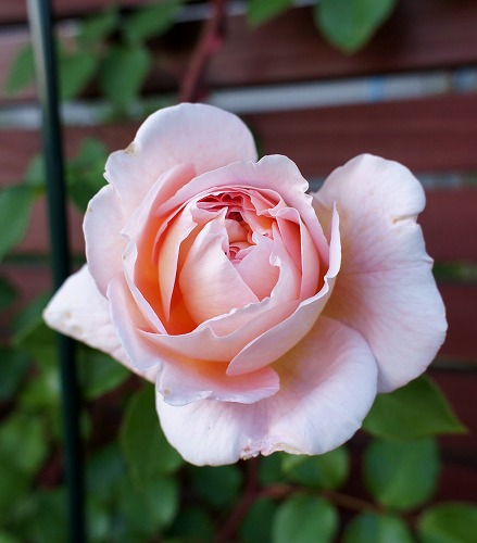 f0205733_0123687.jpg