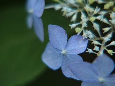 c0148238_1162559.jpg