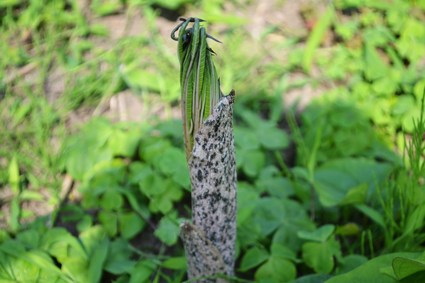 e0228938_18131540.jpg
