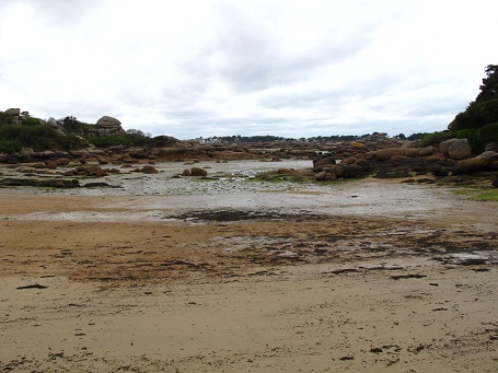 d0167041_22194836.jpg