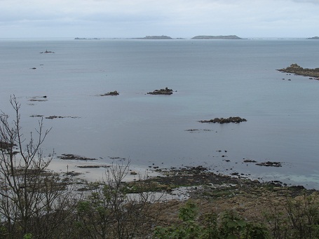 d0167041_2233636.jpg