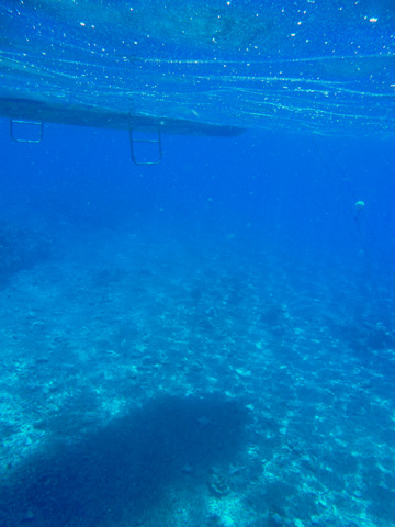 f0014842_20172183.jpg