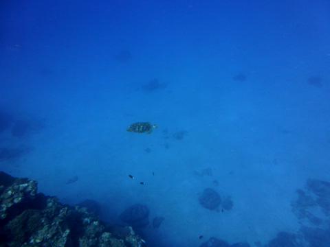 f0014842_20181241.jpg