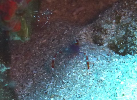 f0014842_20185516.jpg
