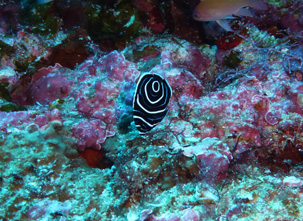 f0014842_20192427.jpg