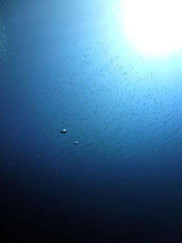 f0014842_20233066.jpg