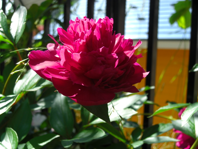 a0249443_7514024.jpg