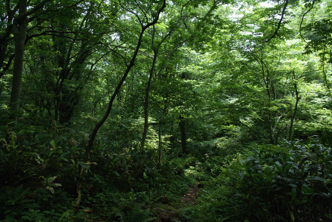f0214649_4541359.jpg