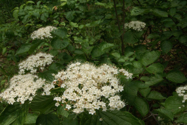 f0214649_512953.jpg