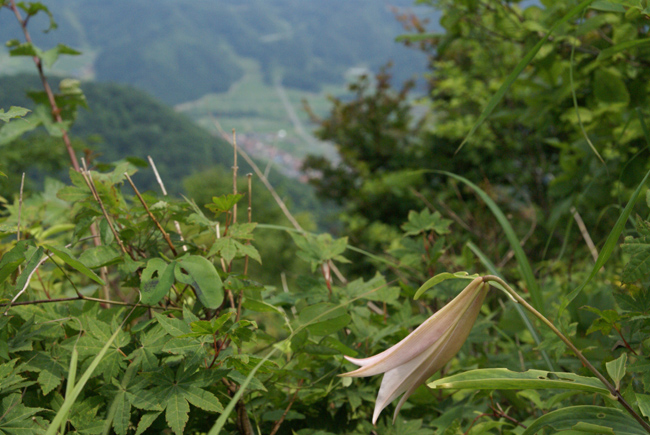 f0214649_5131651.jpg