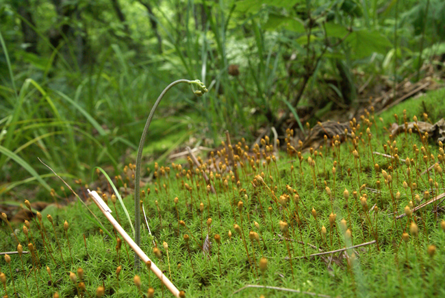 f0214649_533662.jpg