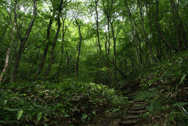 f0214649_5867.jpg